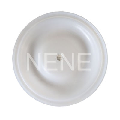 Husky 1050 Series 1Inch Nitrile/Santoprene/PTFE Diaphragm repair accessories
