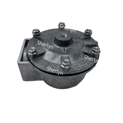 GOYEN Pulse Valve RCA35T RCA32T 1.5-inch Electromagnetic Pulse Valve Spray Valve Pneumatic Valve