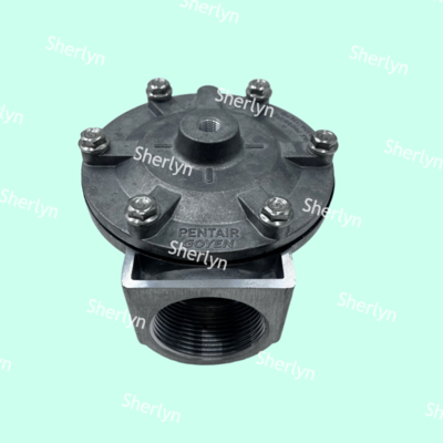 GOYEN Pulse Valve RCA35T RCA32T 1.5-inch Electromagnetic Pulse Valve Spray Valve Pneumatic Valve