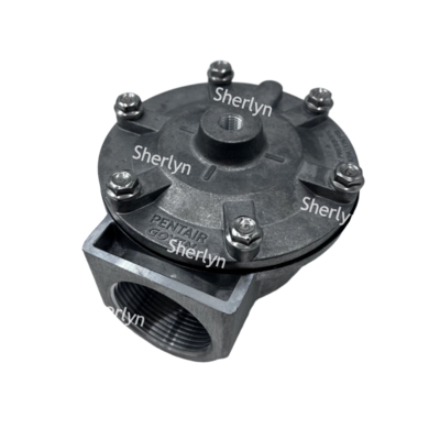 GOYEN Pulse Valve RCA35T RCA32T 1.5-inch Electromagnetic Pulse Valve Spray Valve Pneumatic Valve