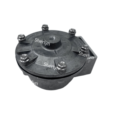 GOYEN Pulse Valve RCA35T RCA32T 1.5-inch Electromagnetic Pulse Valve Spray Valve Pneumatic Valve