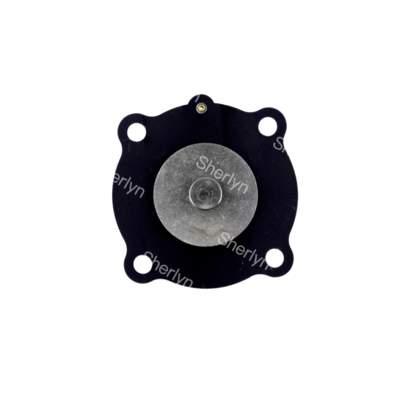 Joil Pulse Valve Diaphragm DN25 JISI25 JICI25 JICR25 Korean Asahi 1-inch Diaphragm Repair Kit