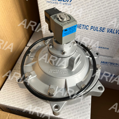 WPS-CA/EP76 3-Inch Submerged Pulse Valve WATSON Solenoid Valve Pulse Jet Valves AC220V DC24V