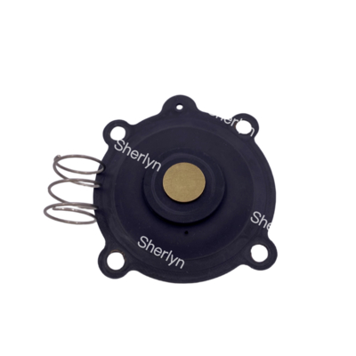 ASCO C131606 Diaphragm Repair Kit Suitable for SCE238D004 SCE238D009 Water Valve Diaphragm NBR/VITON
