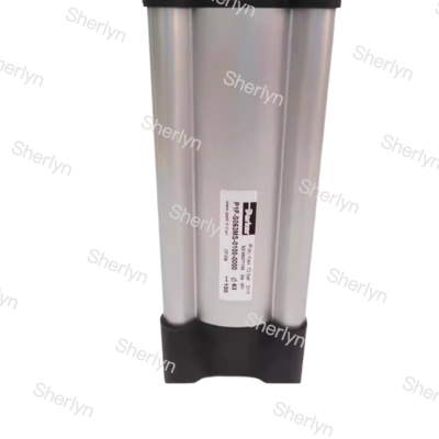 Parkrer P1F-S032MC-0100-0000 Standard Cylinder  G 1/8 Ports