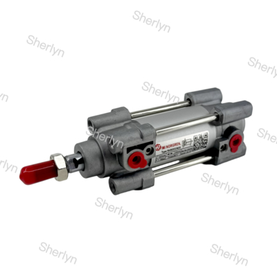 RA/802032/M/125 Double Acting Cylinder 32mm Diameter 125mm Stroke