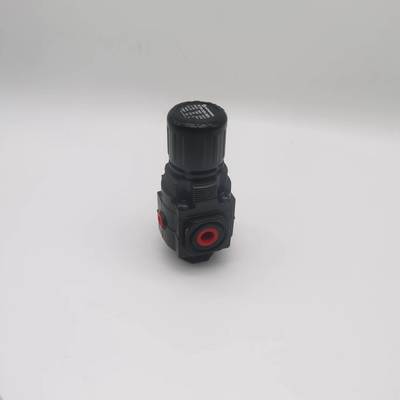 NORGREN R72G-2GK-RMG Pneumatic Regulator Lubricator Excelon General Purpose Pressure Regulator G1/4 0.3-10 Bar Without Gauge