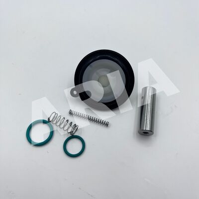 1256275 NORGREN BUSCHJOST Solenoid Valve Diaphragm Repair Kit 8240300 DN20