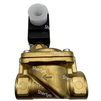 NBR Seal Electric Burkert Solenoid Valve 3/4  00221937 DC24V