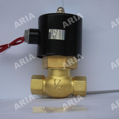 High Temperature Steam Solenoid Valve US-10/US-15/20/US-25/US-35/US-40/US-50 US High Temperature Steam Valve Series