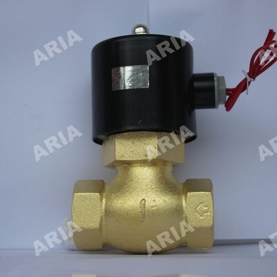 Two Usually Closed Copper Steam High-Temperature Electronic Valves US-15 US-20 US-25 US-40 US-50