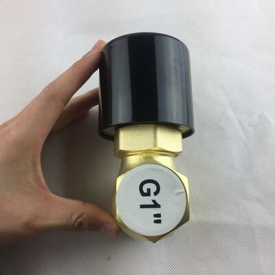 1-Inch High-Temperature Resistant Solenoid Valve, Steam Solenoid Valve Steam Valve US-25
