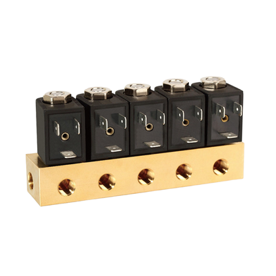 Water Valve 1913BB161 Including FKM Seal Material 1/8''Port Size 2/2 Way Normally Open Direct Acting Operation
