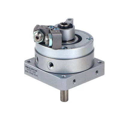 Size 25 Double-Acting Rotary Vane Pneumatic Swing Cylinder with 270° Swivel Angle for Jig Angle Switching