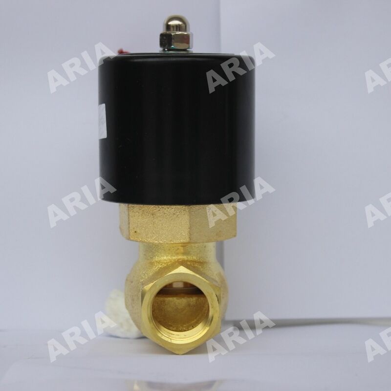 High Temperature Steam Solenoid Valve US-10/US-15/20/US-25/US-35/US-40/US-50 US High Temperature Steam Valve Series