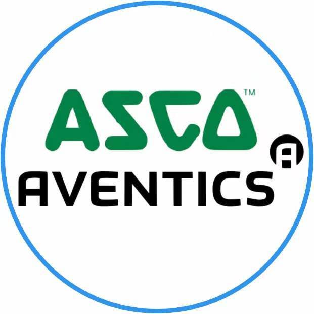AVENTICS 8-Pole Connection Plug with IP65 Protection and 24V DC / 230V AC for G1/4 Port Size