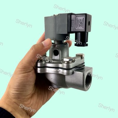 CA20T CA20T010-300 CA20T010-305 ゴイエン 肺弁 パルスバルブ 3/4 インチ